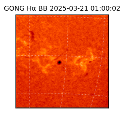 gong - 2025-03-21T01:00:02