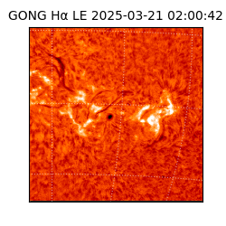 gong - 2025-03-21T02:00:42