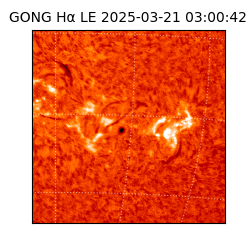 gong - 2025-03-21T03:00:42