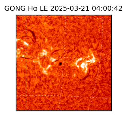 gong - 2025-03-21T04:00:42