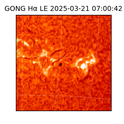 gong - 2025-03-21T07:00:42