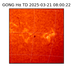 gong - 2025-03-21T08:00:22