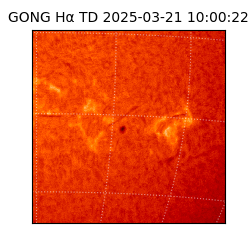 gong - 2025-03-21T10:00:22