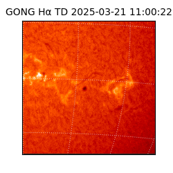 gong - 2025-03-21T11:00:22