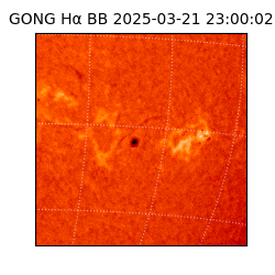 gong - 2025-03-21T23:00:02