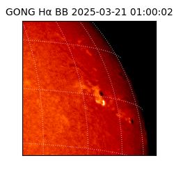 gong - 2025-03-21T01:00:02