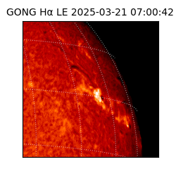 gong - 2025-03-21T07:00:42