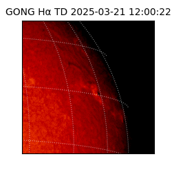 gong - 2025-03-21T12:00:22