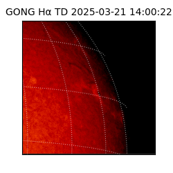gong - 2025-03-21T14:00:22