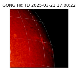 gong - 2025-03-21T17:00:22