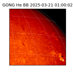 gong - 2025-03-21T01:00:02