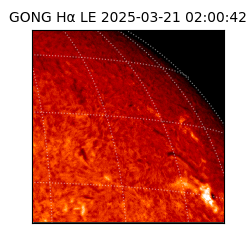 gong - 2025-03-21T02:00:42
