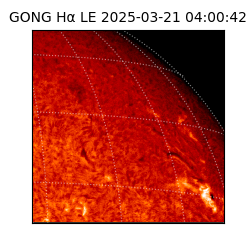 gong - 2025-03-21T04:00:42