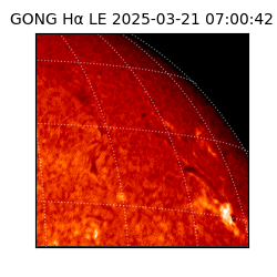 gong - 2025-03-21T07:00:42