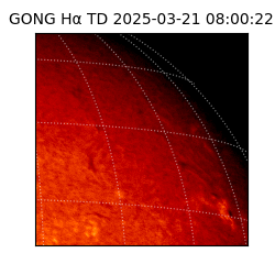 gong - 2025-03-21T08:00:22
