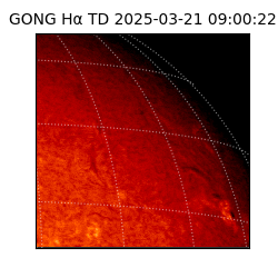 gong - 2025-03-21T09:00:22