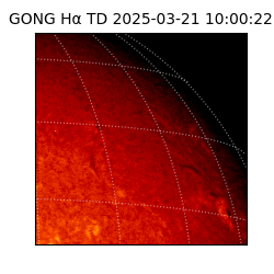 gong - 2025-03-21T10:00:22