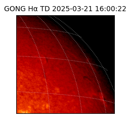 gong - 2025-03-21T16:00:22