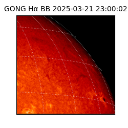 gong - 2025-03-21T23:00:02