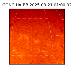 gong - 2025-03-21T01:00:02