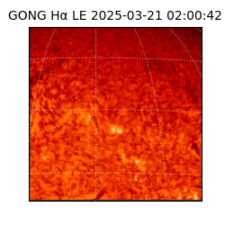 gong - 2025-03-21T02:00:42