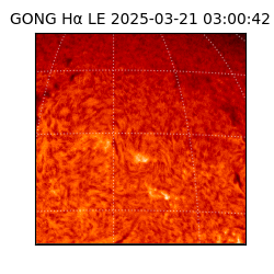 gong - 2025-03-21T03:00:42