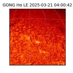 gong - 2025-03-21T04:00:42