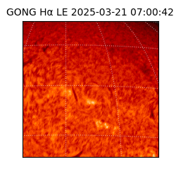 gong - 2025-03-21T07:00:42