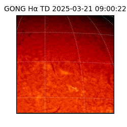 gong - 2025-03-21T09:00:22