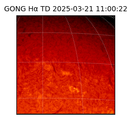 gong - 2025-03-21T11:00:22