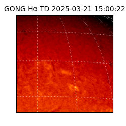 gong - 2025-03-21T15:00:22