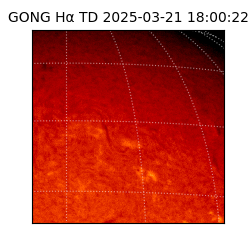 gong - 2025-03-21T18:00:22