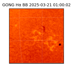 gong - 2025-03-21T01:00:02