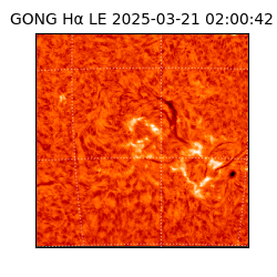 gong - 2025-03-21T02:00:42