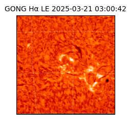 gong - 2025-03-21T03:00:42