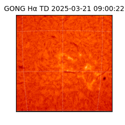 gong - 2025-03-21T09:00:22