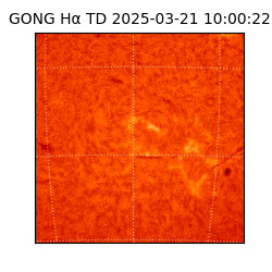gong - 2025-03-21T10:00:22