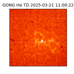 gong - 2025-03-21T11:00:22