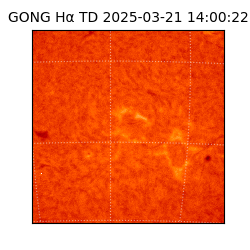 gong - 2025-03-21T14:00:22