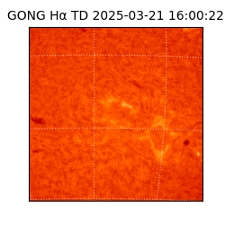 gong - 2025-03-21T16:00:22