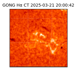 gong - 2025-03-21T20:00:42