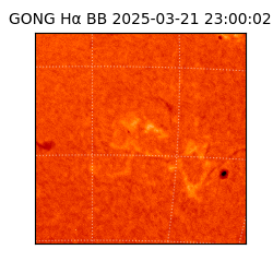 gong - 2025-03-21T23:00:02