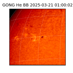 gong - 2025-03-21T01:00:02