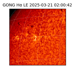 gong - 2025-03-21T02:00:42