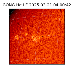 gong - 2025-03-21T04:00:42