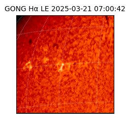 gong - 2025-03-21T07:00:42