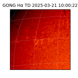 gong - 2025-03-21T10:00:22