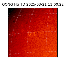 gong - 2025-03-21T11:00:22