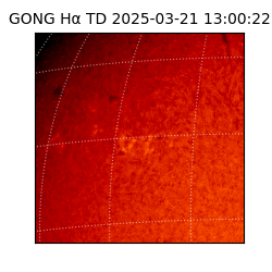 gong - 2025-03-21T13:00:22