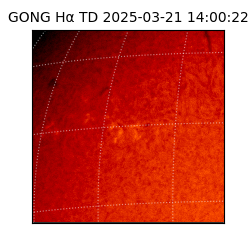 gong - 2025-03-21T14:00:22